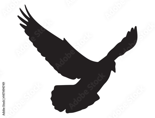 DOVE SILHOUETTE WHITE BACKGROUND