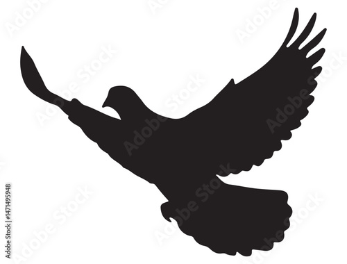 DOVE SILHOUETTE WHITE BACKGROUND