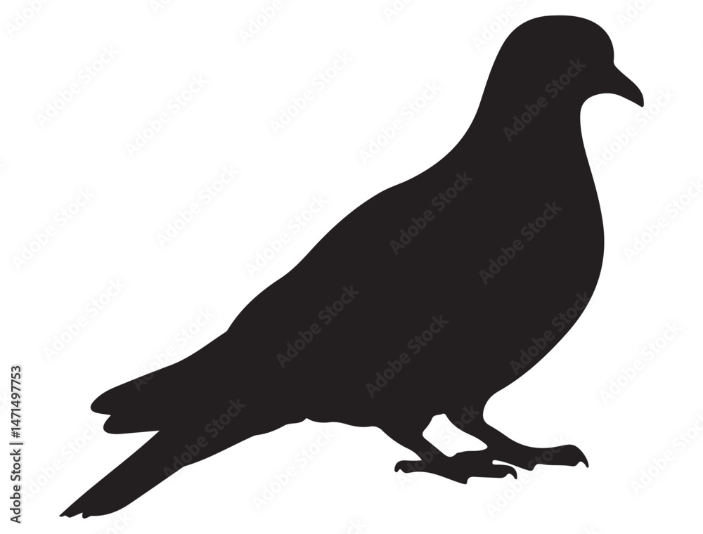 Obraz premium DOVE SILHOUETTE WHITE BACKGROUND