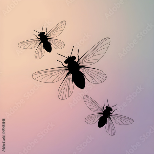 dragonfly vector illustration