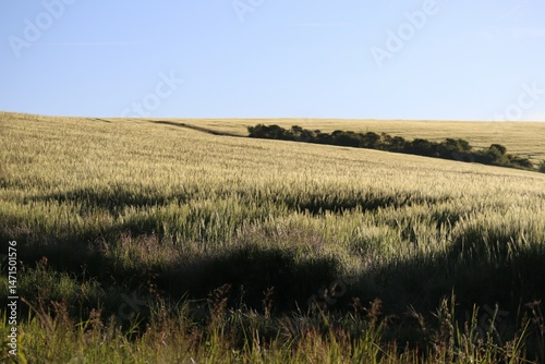 endless Expanses