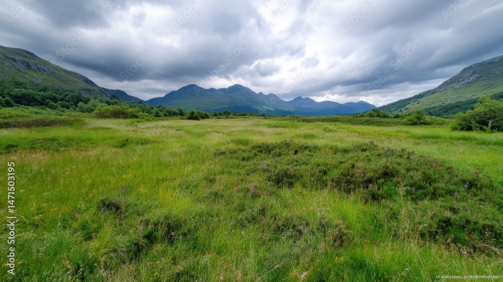 Serene landscape featuring a vast green meadow, rolling hills, and a dramatic mountain range under a cloudy sky. The scene evokes a sense of tranquility and natural beauty. : Generative AI Serene landscape featuring a vast green meadow, rolling hills, and a dramatic mountain range under a cloudy sky. The scene evokes a sense of tranquility and natural beauty. : Generative AI