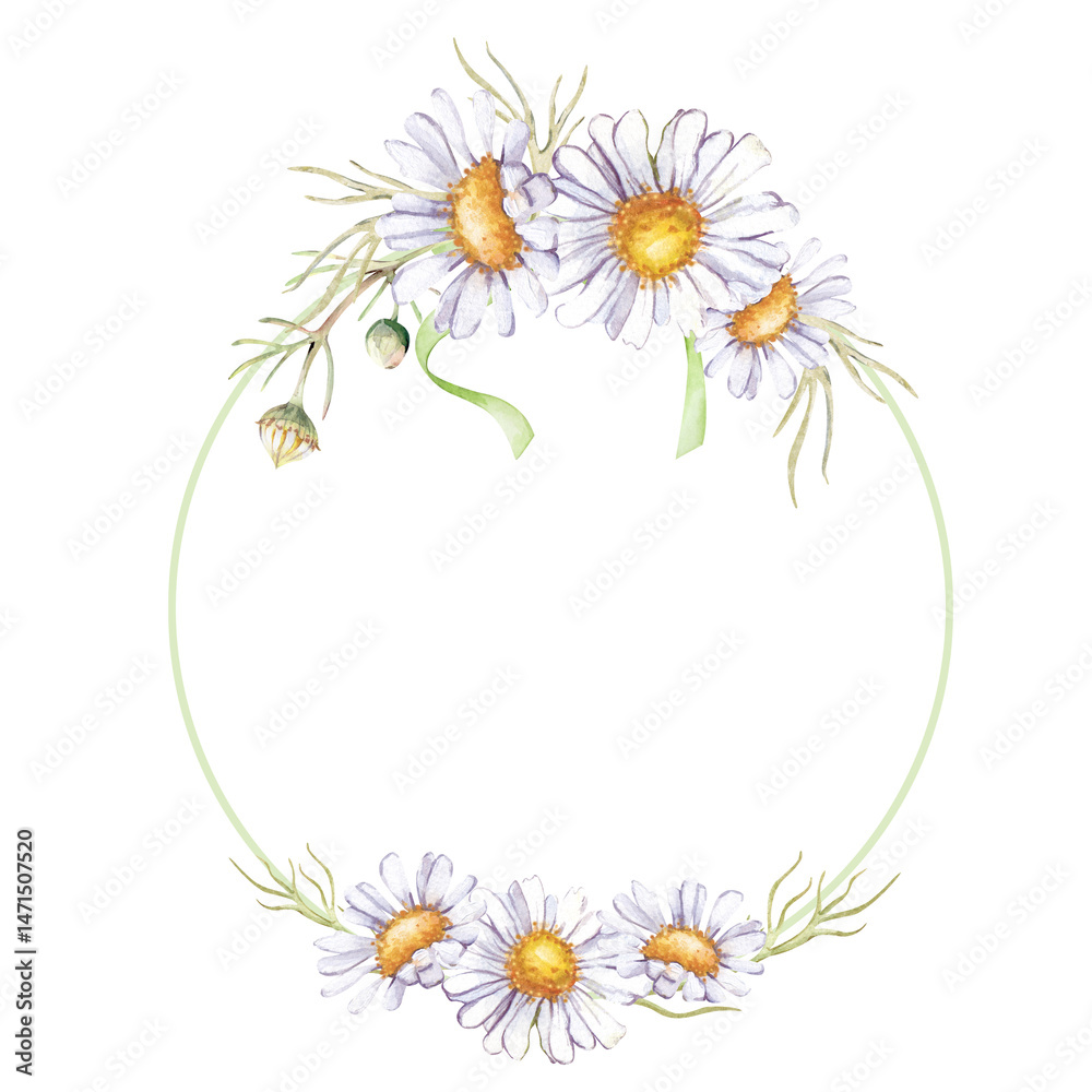 A round painted frame with a bouquet of daisies and a green ribbon. Watercolor template with white wildflowers and buds. Botanical illustration for greeting cards and wedding invitations. A round painted frame with a bouquet of daisies and a green ribbon. Watercolor template with white wildflowers and buds. Botanical illustration for greeting cards and wedding invitations.
