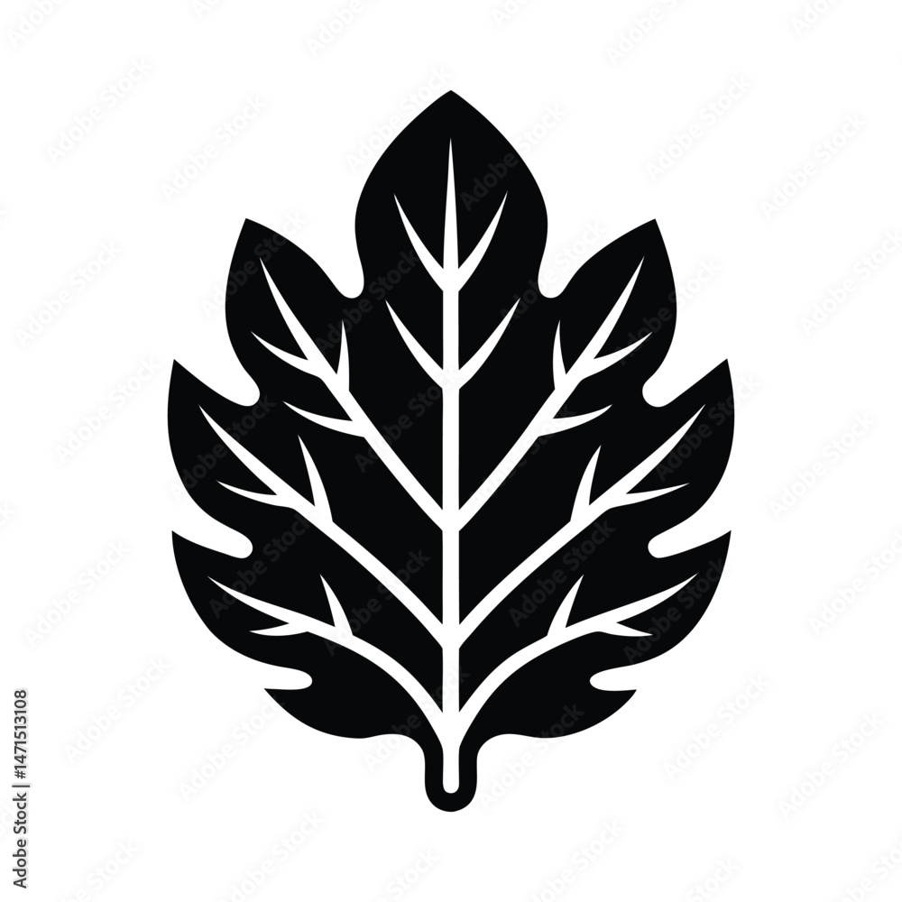 Leaf simple graphic design silhouette on white background Leaf simple graphic design silhouette on white background
