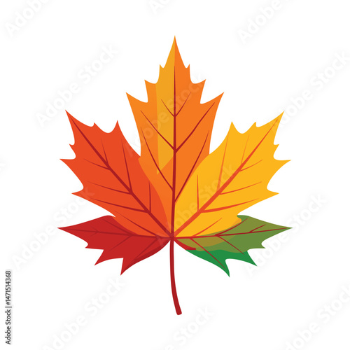 Colorful maple leaf autumn season vector on white  background