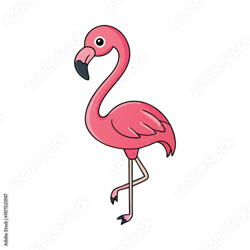 Pink flamingo bird illustration vector on white  background