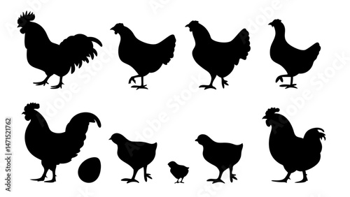Chickens in pasture silhouette farm pets.