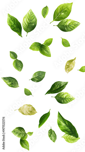Falling green leaves