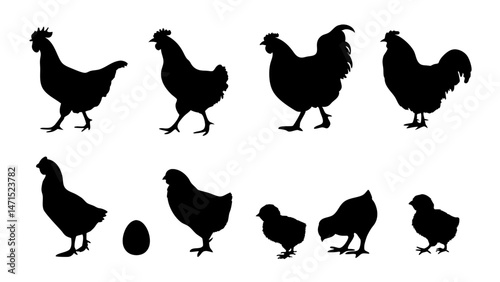 Chickens in pasture silhouette farm pets.