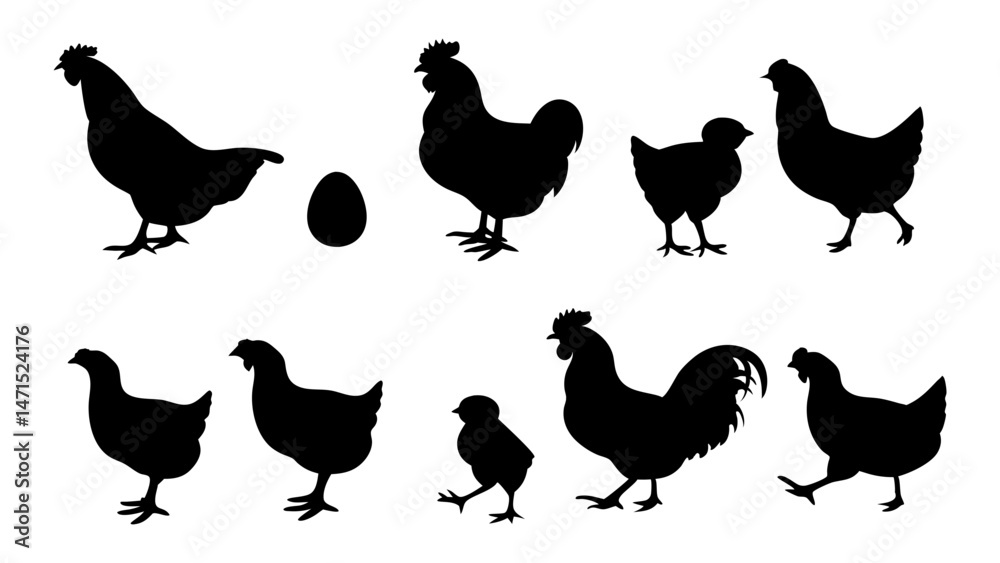 Fototapeta premium Chickens in pasture silhouette farm pets.