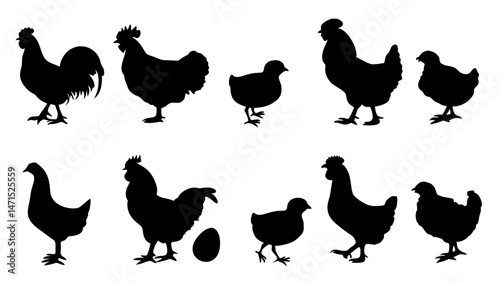 Chickens in pasture silhouette farm pets.