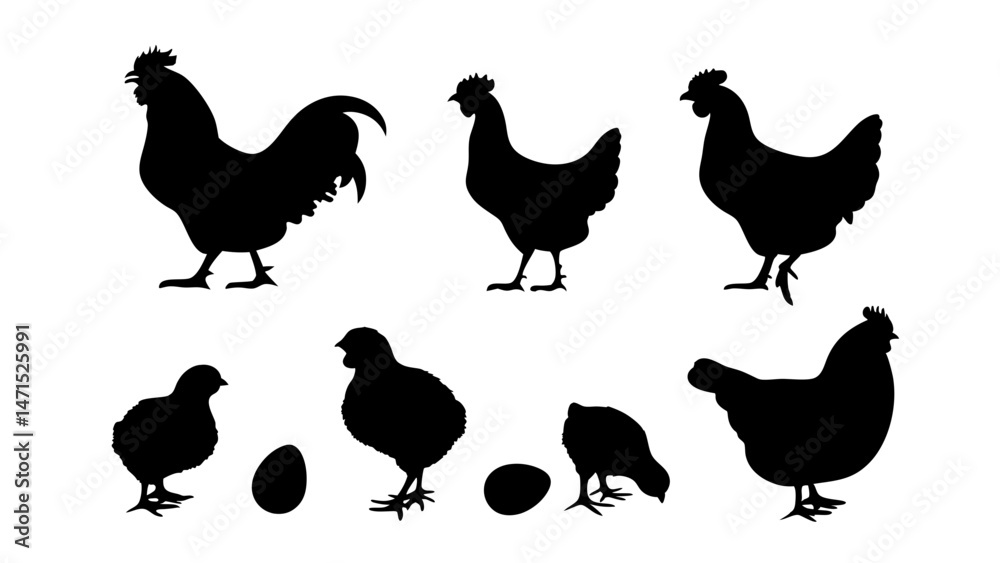 Fototapeta premium Chickens in pasture silhouette farm pets.