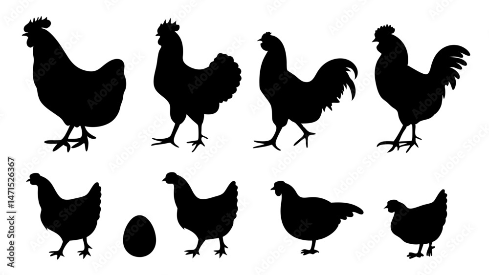 Fototapeta premium Chickens in pasture silhouette farm pets.