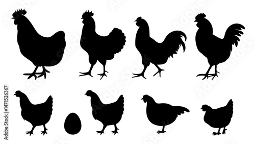 Chickens in pasture silhouette farm pets.
