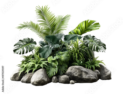 Tropical green plants with rocks arrangement