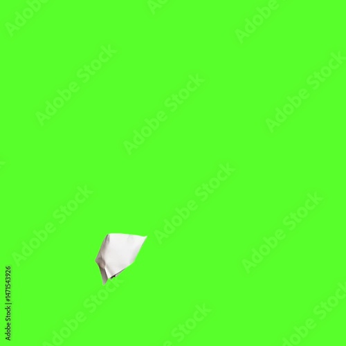 3d render of a flying dollar sign on green screen, energy saving light bulb. white chalk textured arrow animation. 3d render of a computer mouse. green diamond on white. butterfly on a green leaf
