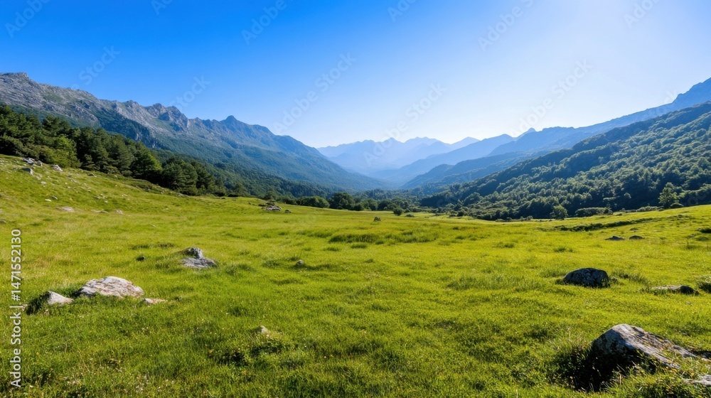Serene mountain meadow landscape with lush green grass, scattered rocks, and a backdrop of majestic, hazy blue mountains under a clear summer sky. : Generative AI Serene mountain meadow landscape with lush green grass, scattered rocks, and a backdrop of majestic, hazy blue mountains under a clear summer sky. : Generative AI