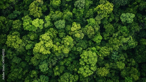 Aerial view of a lush, vibrant green forest canopy, showcasing dense treetops and rich foliage from a high altitude perspective. : Generative AI