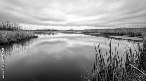 Serene black and white landscape photo of a calm lake reflecting a cloudy sky, surrounded by tall grasses and autumnal trees. : Generative AI