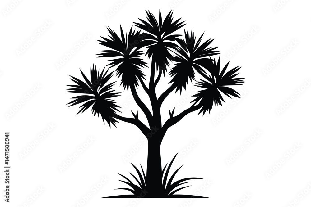 Fototapeta premium Black silhouette shows a single yucca tree with distinctive spiky leaves and grass