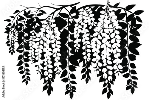 wisteria branches laden with cascading flowers are depicted in black and white hues