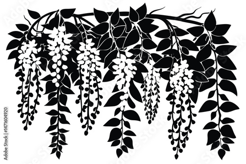 Wisteria vines cascade downwards with floral elegance and leafy patterns, set in striking monochrome detail