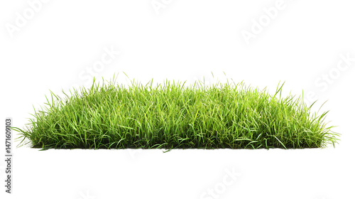 Obraz na płótnie green grassland landscape isolated on white w salonie
