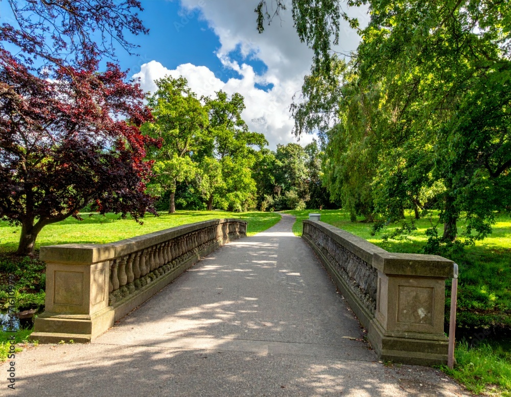 Obraz premium Scenic Bridge Surrounded by Lush Greenery in a Park Setting
