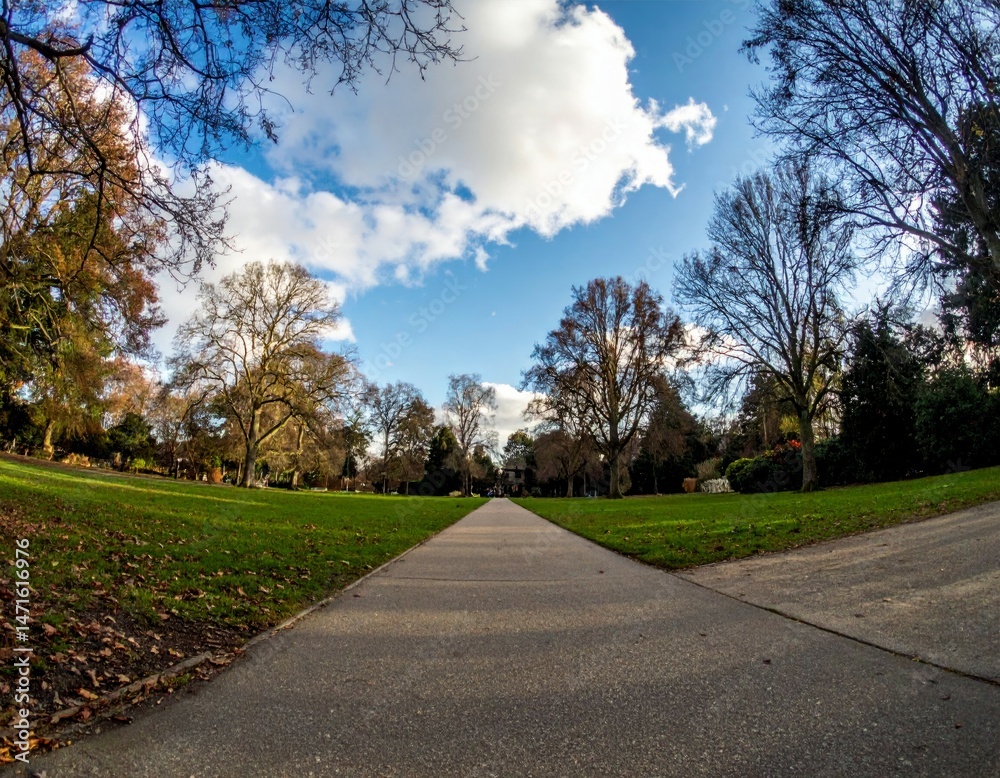 Fototapeta premium Peaceful Park Pathway Surrounded by Trees and Blue Sky