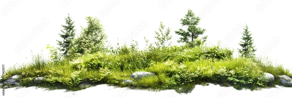 green grassland landscape isolated on white