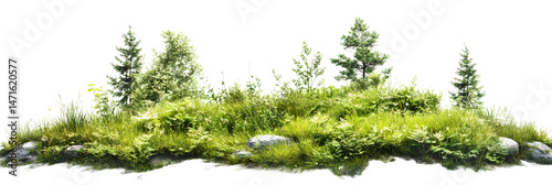 green grassland landscape isolated on white 