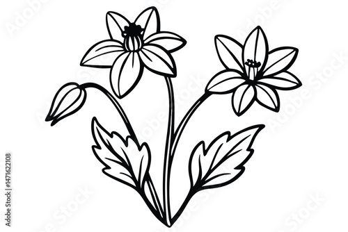 Two black outlined flowers bloom with their leaves and one bud is present