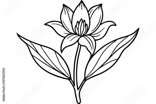 Elegant flower with long stem and leaves is outlined in black on white