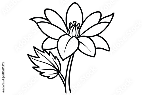 Isolated lotus flower with stem and single leaf is beautifully outlined in black