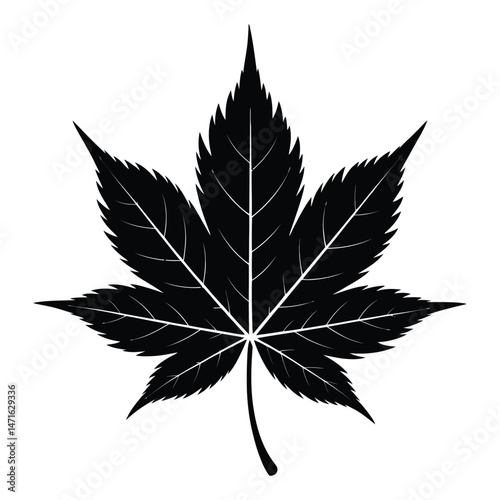 Japanese Maple Leaf Silhouette, Vector, Illustration, Icon, Logo, White Background.