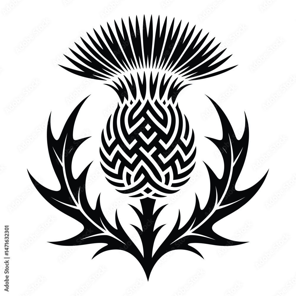 Fototapeta premium Knotwork Thistle Silhouette, Vector, Illustration, Icon, Logo, White Background.