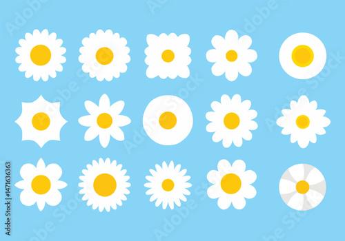 Chamomile daisy set. White camomile square icon. Growing concept. Cute round flower plant collection. Love card. 30 sign symbol shape. Flat design. Green background. Isolated. Vector illustration
