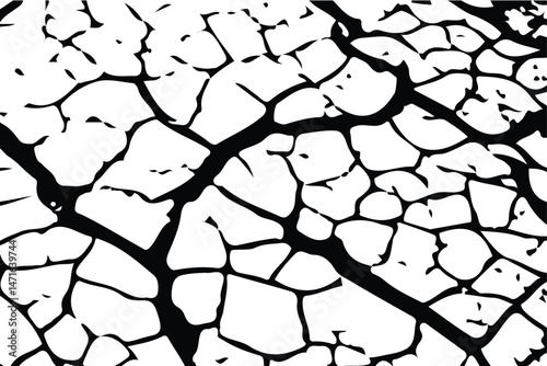 White black grey wall, floor with cracks, texture background. crack ground for abstract background on white background
