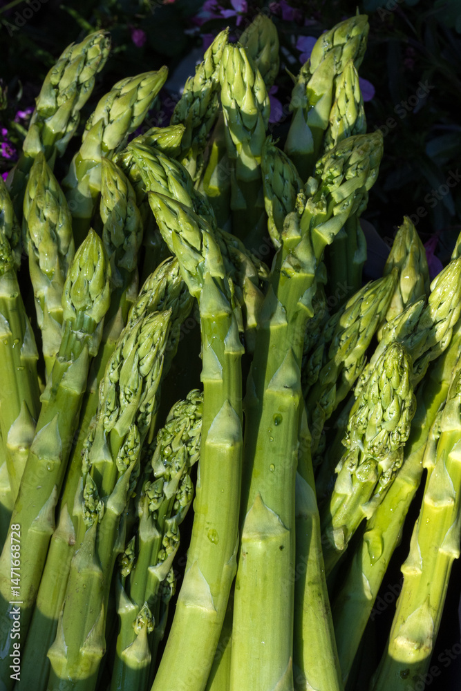 Obraz premium grüner Spargel, Grünspargel Rezepte, Spargelzeit
