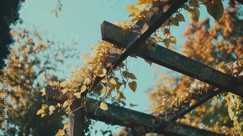 Rustic pergola adorned with autumn foliage against a vibrant sky.