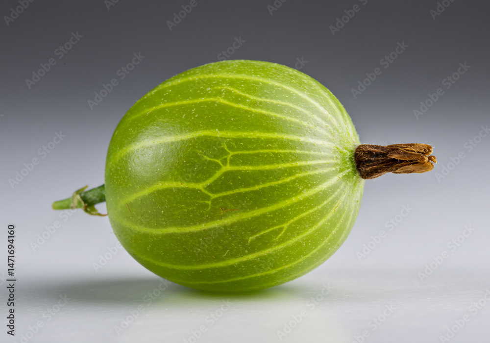 A single, vibrant green gooseberry rests on white. A single, vibrant green gooseberry rests on white.