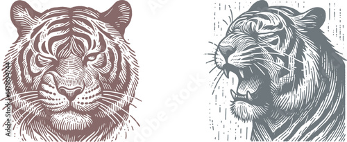 Engraving Design: Fierce Tiger Growling Softly with One Eye Closed – Intricate Woodcut Artwork of Majestic Big Cat