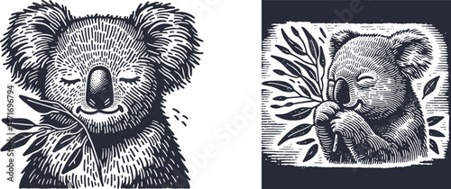 Woodcut Design: Cute Koala Blinking with Eucalyptus Leaf Sticking Out – Unique Animal Engraving Art etching, ink, isolated, vintage, tattoo