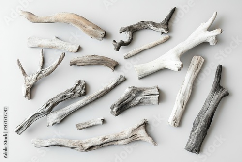 Collection of various sized and shaped driftwood pieces arranged on a light gray background.