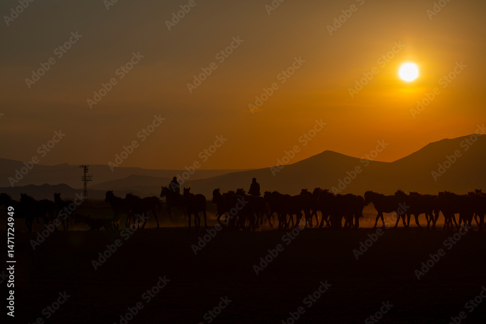 Kayseri wild horses and Mount Erciyes Kayseri wild horses and Mount Erciyes