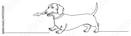 adorable dachshund carrying a bone drawn in minimalist one line vector style