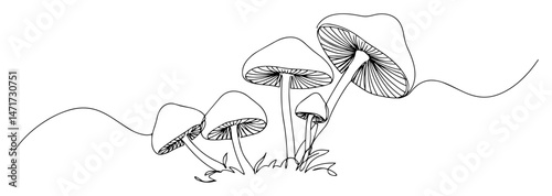 mushrooms line art vector