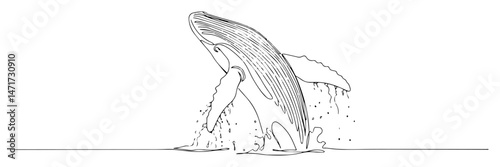 line drawing of a breaching whale, ocean wildlife in minimal black and white vector style