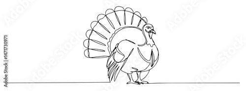 turkey bird one line vector drawing