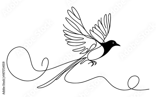 elegant bird in flight line art vector